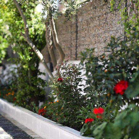 Vila Feliz - Premium Rooms With Free Private Parking Vlore Exterior photo
