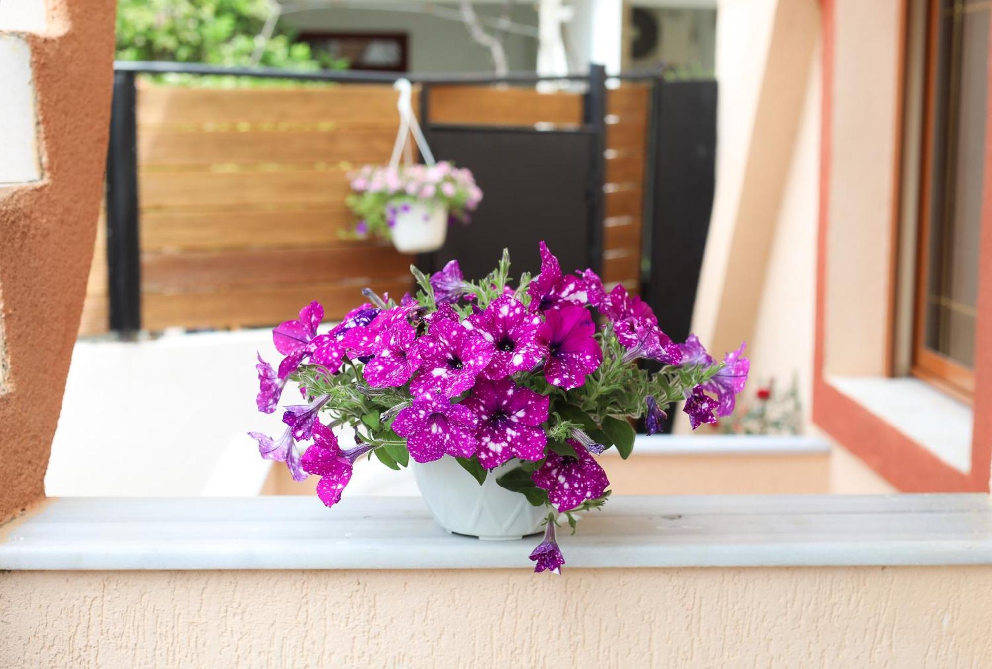 Vila Feliz - Premium Rooms With Free Private Parking Vlore Exterior photo