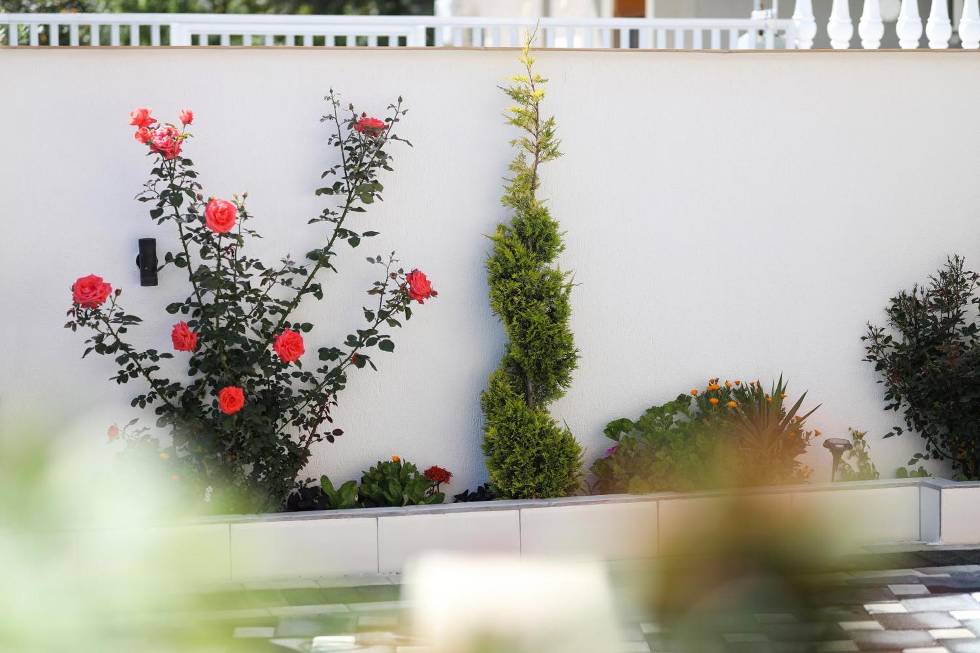 Vila Feliz - Premium Rooms With Free Private Parking Vlore Exterior photo